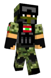 Skin preview