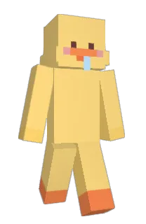 Front of REN1E's skin