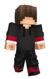 Front of PhIPeT's skin