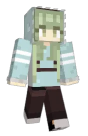 Skin preview