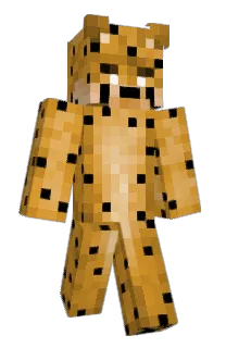 Front of IhaveN0Brain's skin
