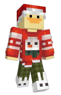 Front of Skins's skin