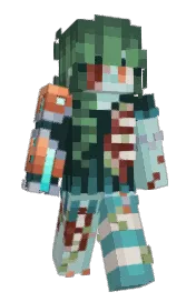Skin preview
