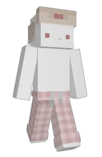 Front of Minecraft skin
