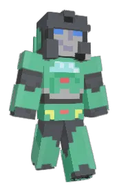 Skin preview