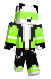 Skin preview