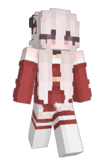 Front of rajnush's skin