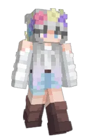 Skin preview