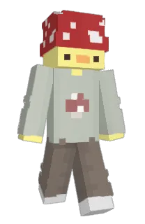 Front of Minecraft skin