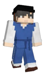 Minecraft skin — Classic model