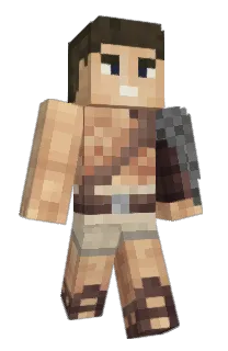 Front of CVS7's skin