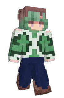 Front of elephant_1's skin