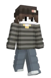 Front of Minecraft skin
