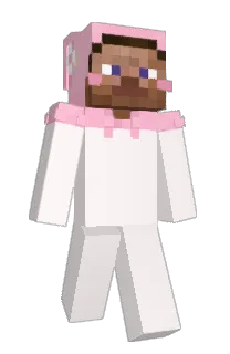 Front of CLTL's skin