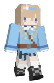Skin preview