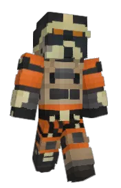 Skin preview