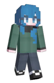Skin preview