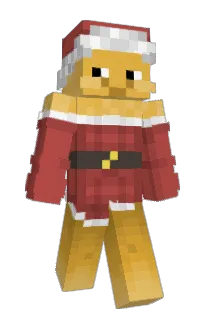 Front of Allyri's skin
