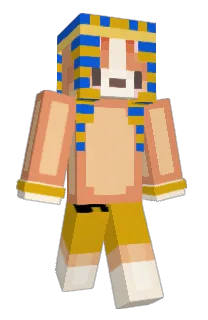 Front of Tuinbot's skin