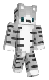 Minecraft skin — Classic model