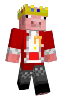 Front of sugeo's skin