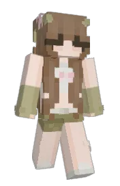Skin preview