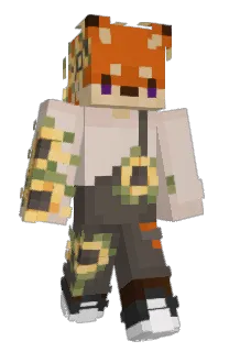 Front of SiloSight's skin