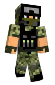 Skin preview