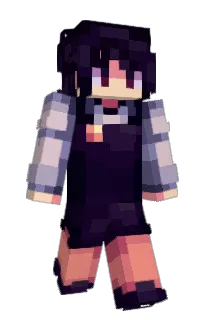 Front of Trainloop's skin