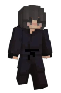 Front of ImLight's skin