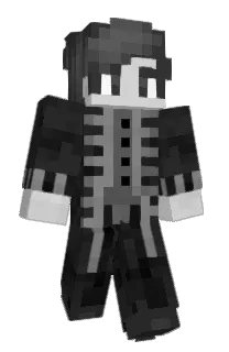 Front of hollety's skin