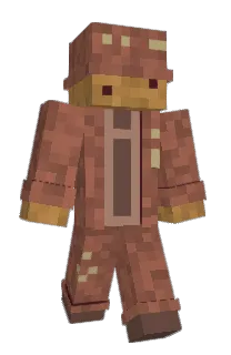 Front of Jushamaka's skin