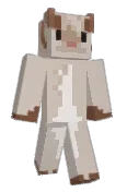 RicanRookie