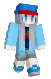 Skin preview