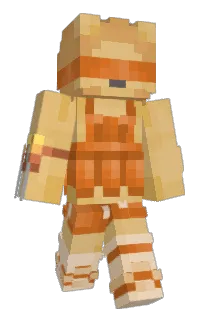 Front of Brochacho11's skin