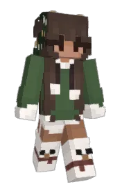 Skin preview