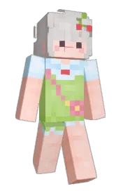 Skin preview