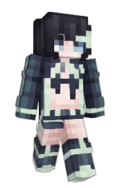 Skin preview