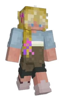 Front of AUPP's skin