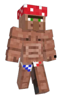 Front of Minecraft skin