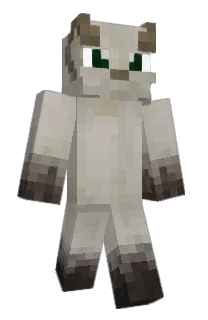 Front of Gangplankenjoyer's skin