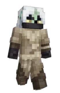 Front of Ne1zit's skin