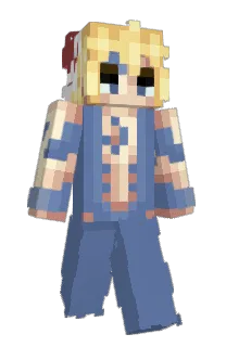 Front of wAcid's skin