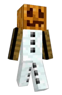 Apollo1102's Minecraft skin