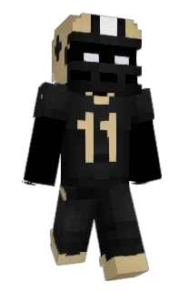 Front of Panicam1's skin
