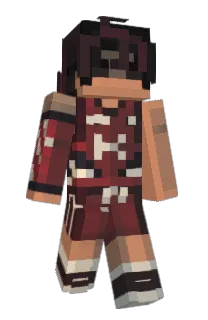Front of Zepsui's skin