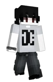 Front of Pvtako's skin