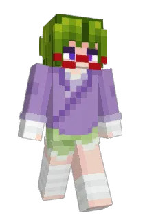 Front of midori_online's skin