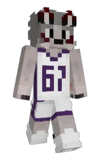 Front of HETOPY's skin