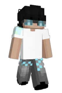c4rbond Minecraft avatar full body